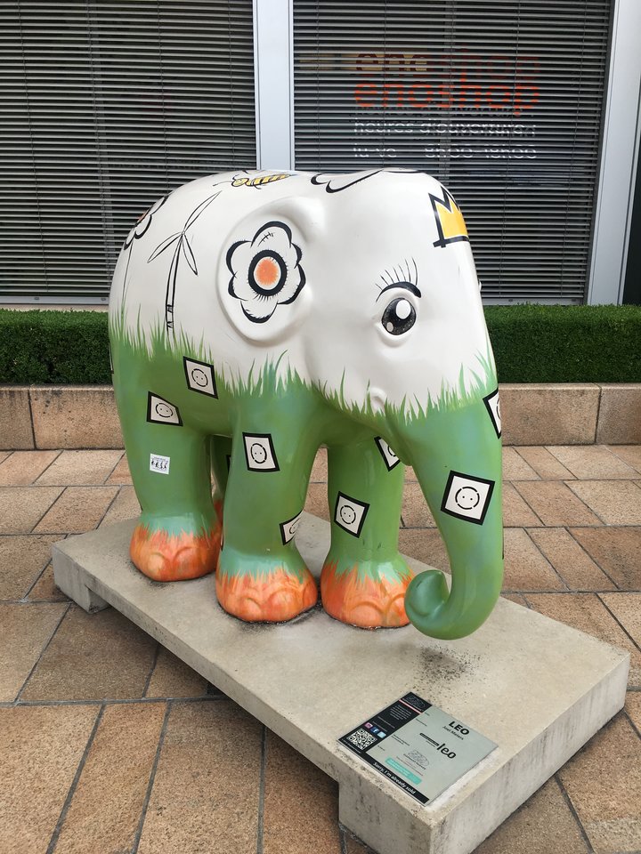 34C2F73A-EABA-42B6-9B97-9766A88ABDAC.jpeg - pawelsolt