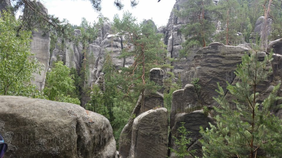 20180619_132920.jpg - Koralik66