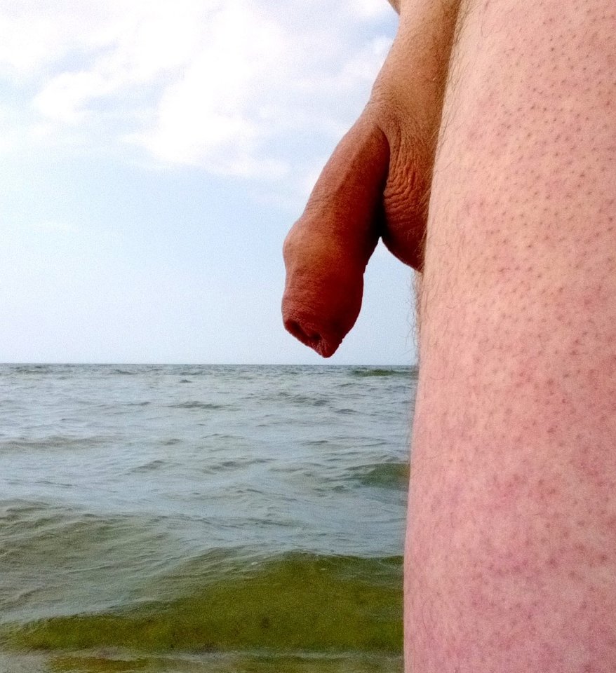 _20180619_142937.JPG - artur42wawa