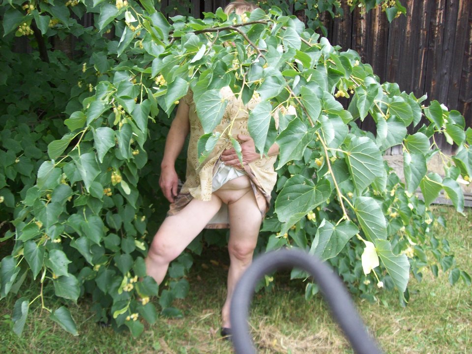 100_3270.JPG - szalonapipi