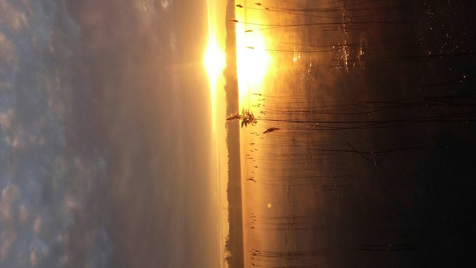 20180225_072009.jpg - Diabelny1975