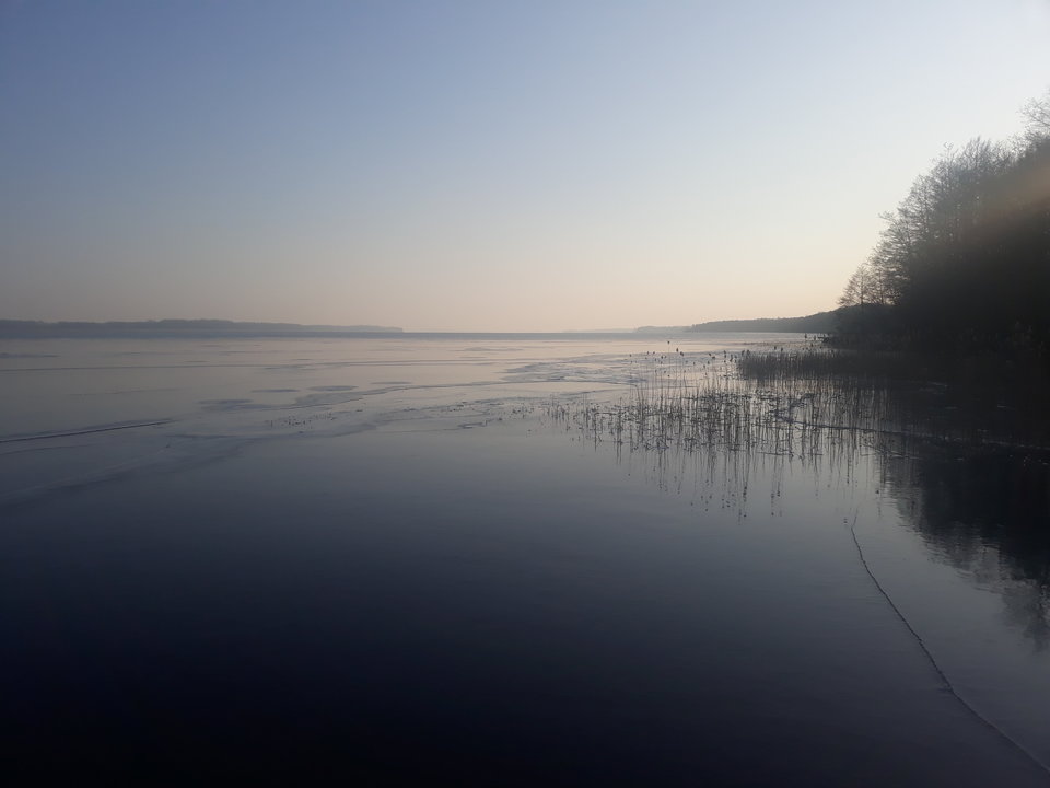 20180302_160406.jpg_1520089267222.jpeg - Diabelny1975