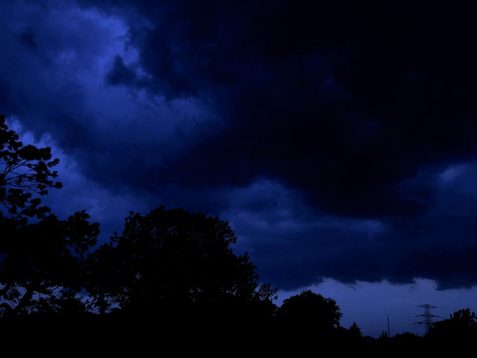 _1010955a.jpg - FoKam431