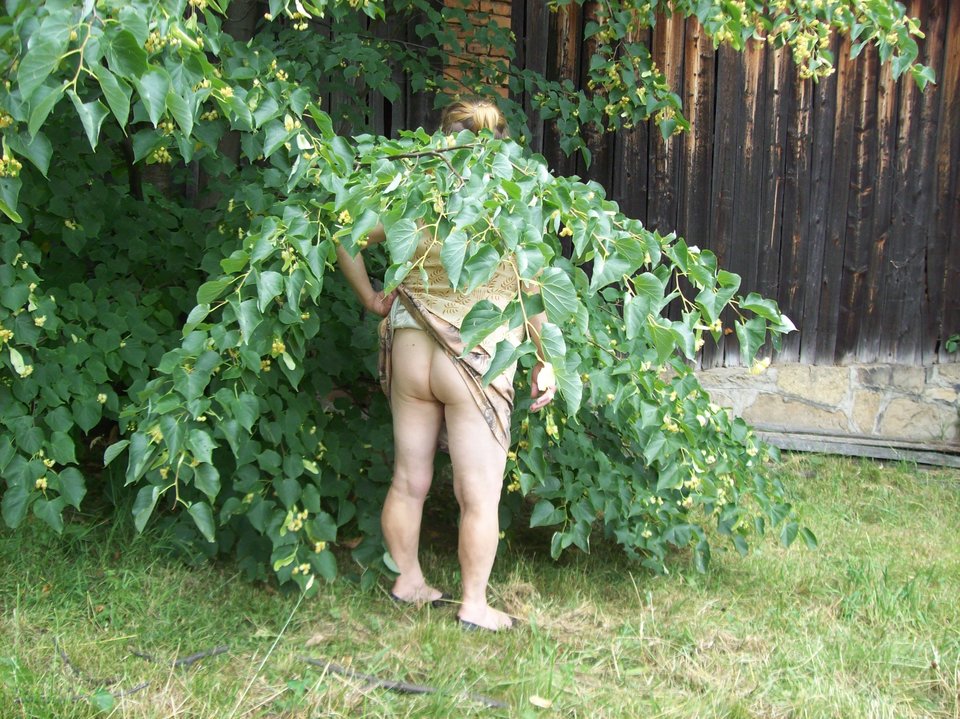 100_3273.JPG - szalonapipi