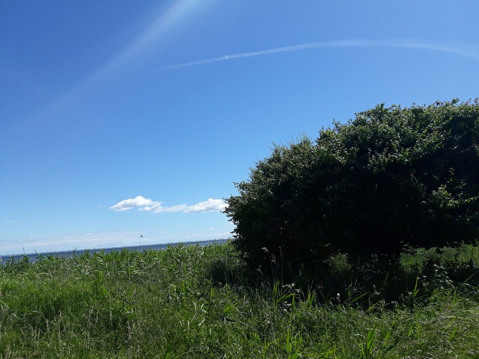 20180606_113954.jpg - A660