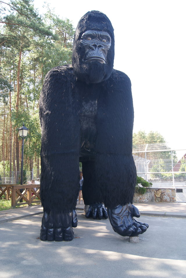 Piotr_1965