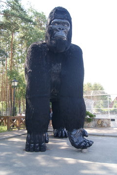 DSC07206.JPG