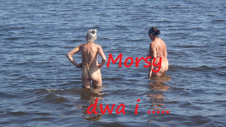 Rewa - Morsy_dwa