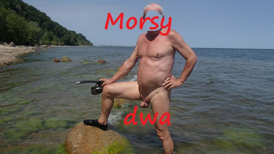 Babie Doły - Morsy_dwa