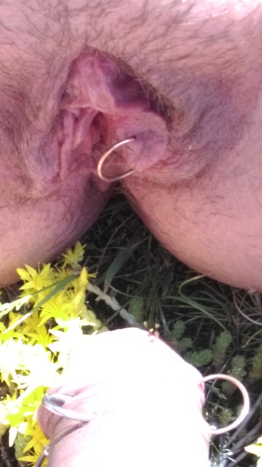 IMAG0221.jpg - parka7369