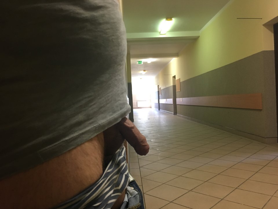 image.jpg - bifacio