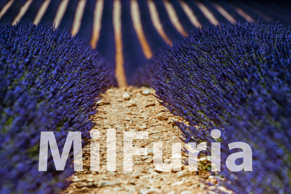 na pożegnanie ... a gdybyśmy tak już więcej mieli się ... - milFuria