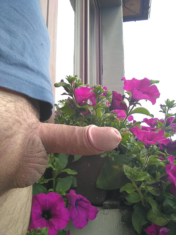 IMG_20180703_065643.jpg - xxxMarcoxxx