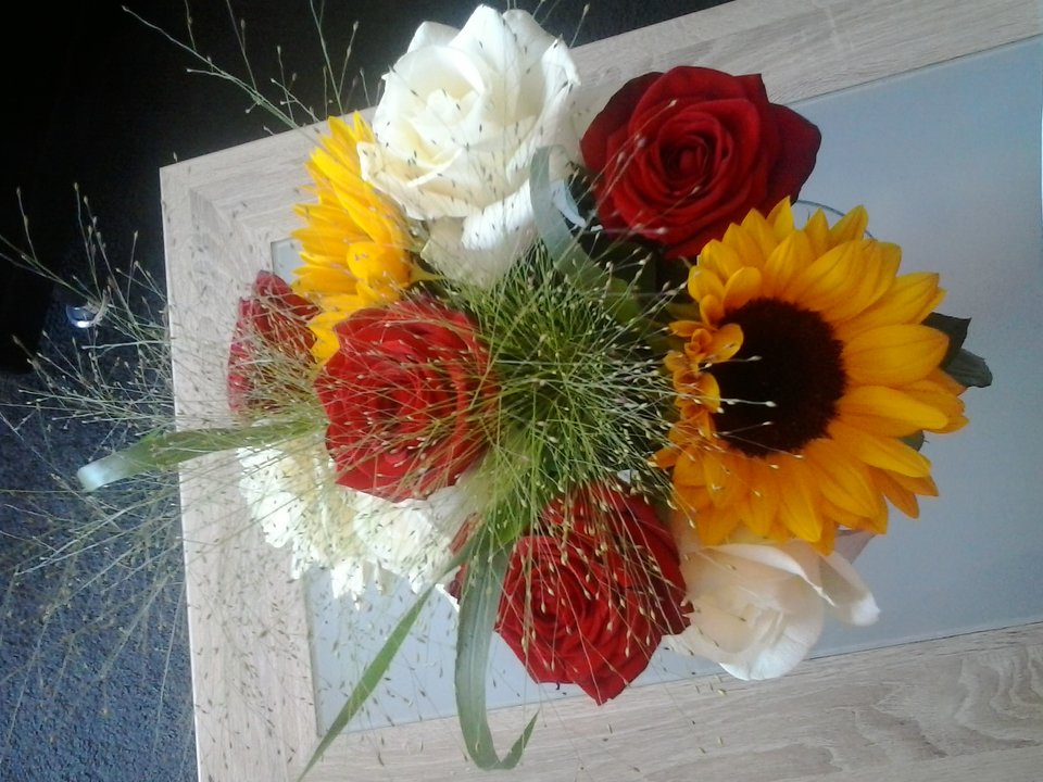 2018-07-03 09.29.30.jpg - matyldchen