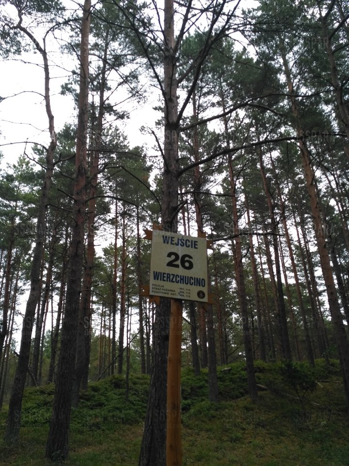 Dębki-2018 :) - SSSpara