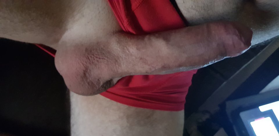 20180619_211227.jpg - Zorro00