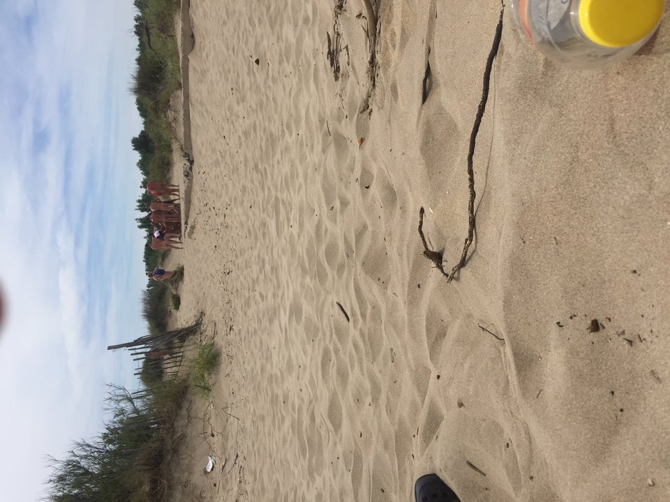 IMG_3896[1].JPG - Libertyni75ols