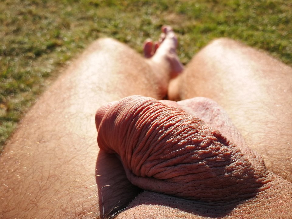 IMG_20180704_182058.jpg - MrFerda