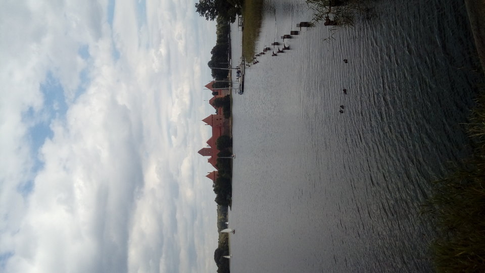 20180619_115243.jpg - Przemodkl79