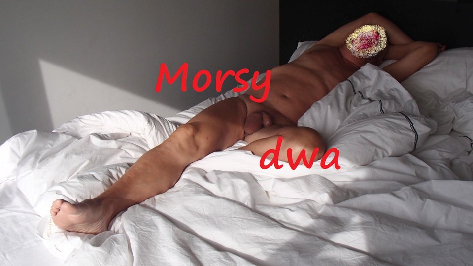 Stavwnger - Morsy_dwa