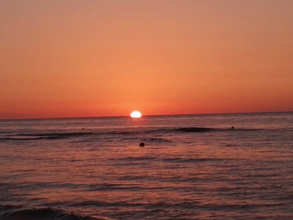 IMG_2018.jpg - podniecony111