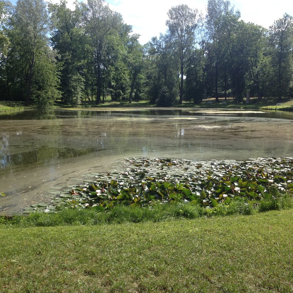 IMG_0147.JPG - IronMen86