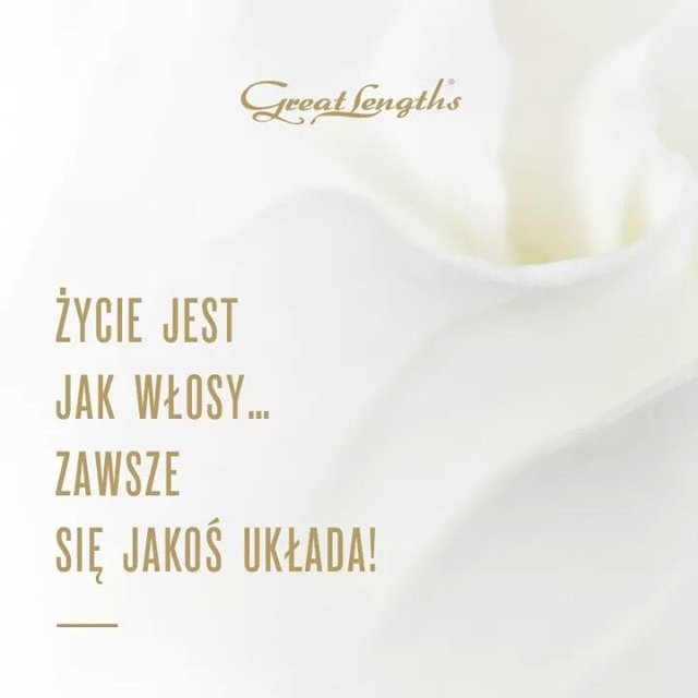 36830192_467117040426502_6495482893773570048_n.jpg - Arnau42