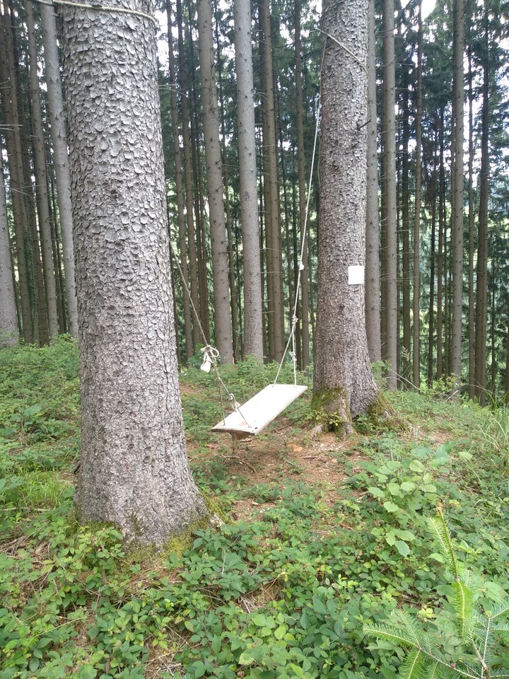 IMG_20180708_102143.jpg - MattVegass