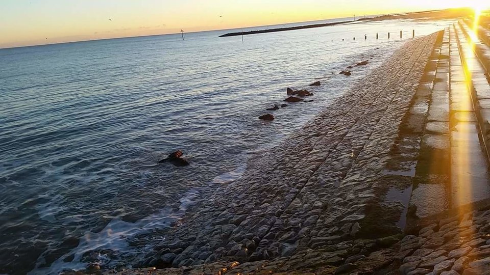 received_1262192127194916.jpeg - lizak1975