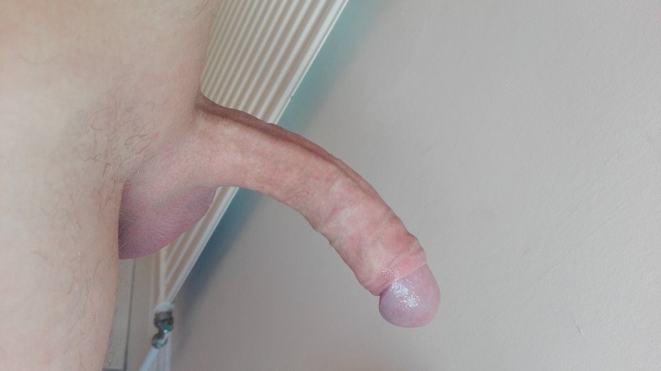 1531325509565442713746.jpg - Dwitek1