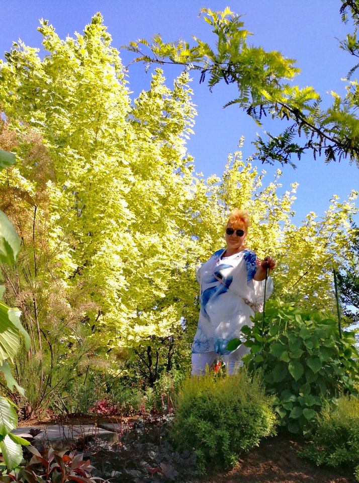 IMG_20180711_204250.jpg - faroamon6971