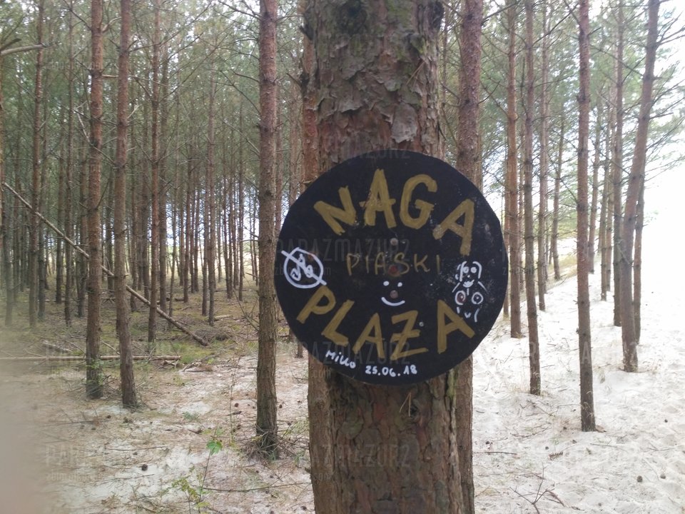 PIASKI- 2018 - parazmazur2