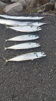20180712_211848.jpg