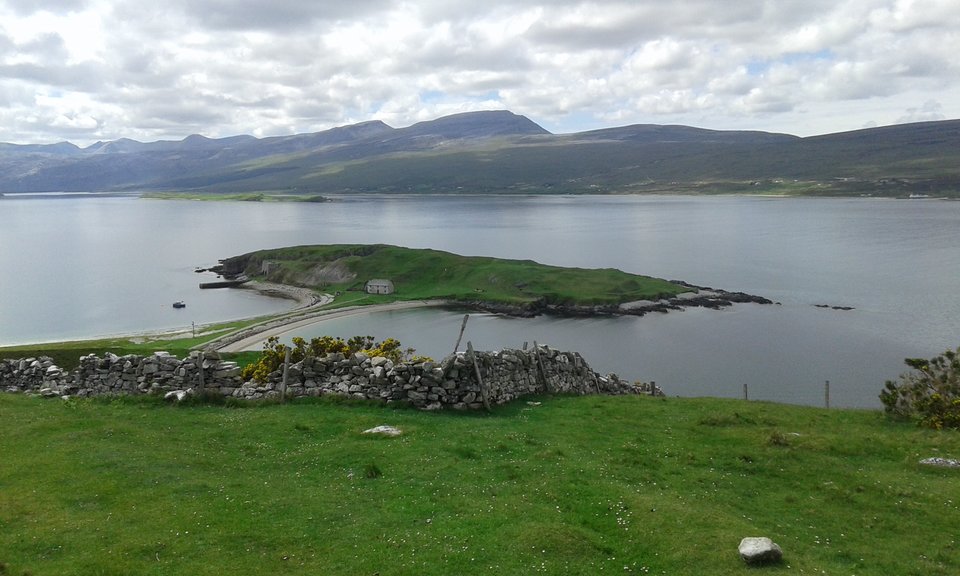 20170531_140243.jpg - Wo1