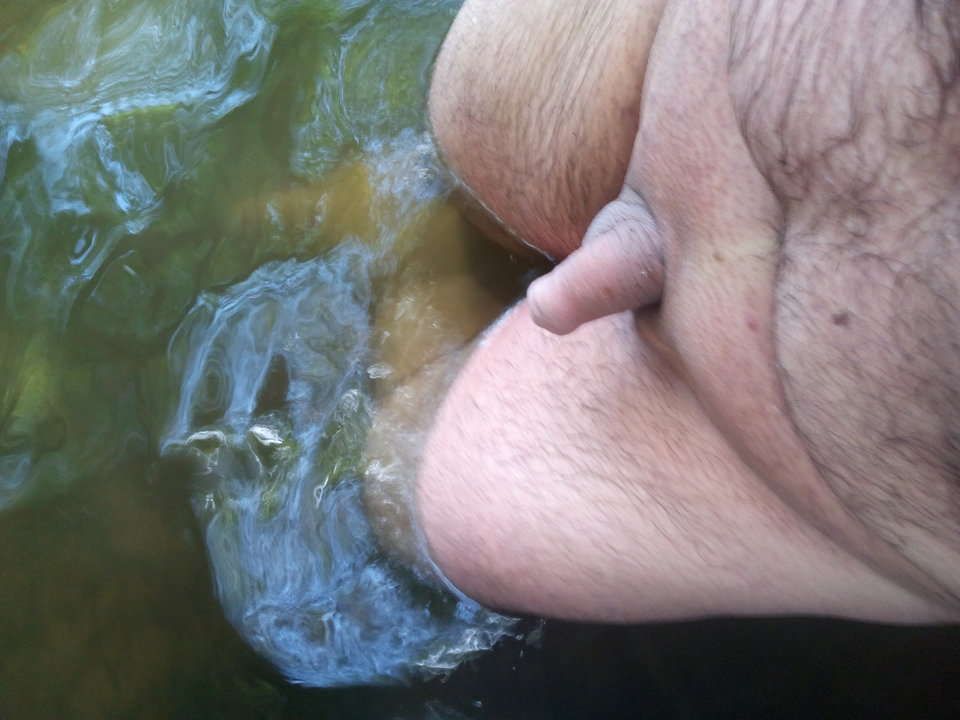 11728.jpg - szczecinbipas