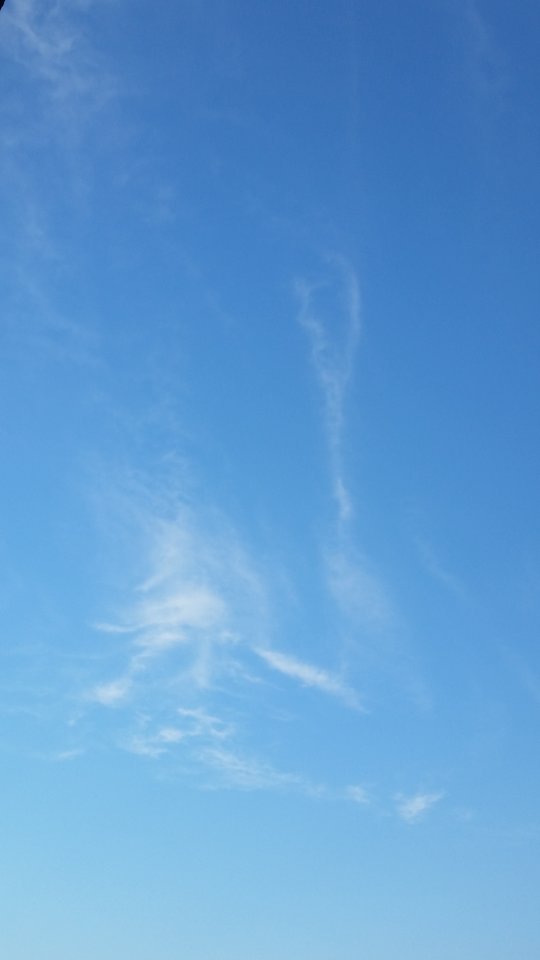 20180713_192322.jpg - skrad_dleihs