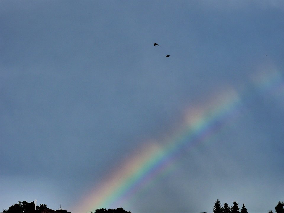 P1040239b.jpg - FoKam431