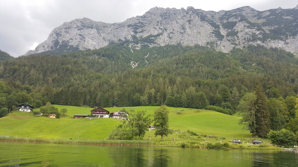 20180715_133729.jpg - anton74