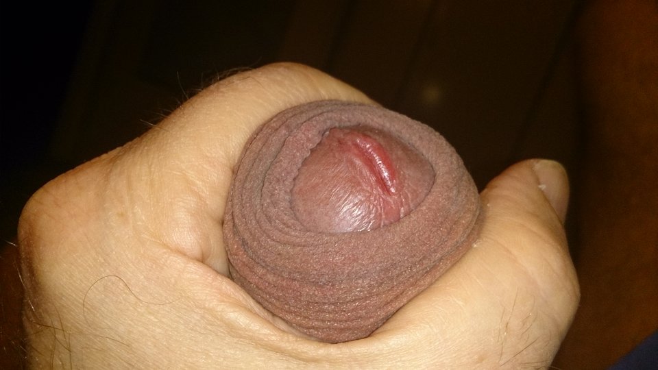 DSC_0183.JPG - jamnik7522