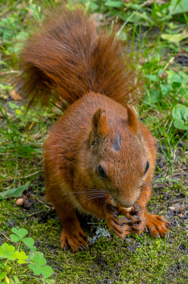 Przekupiona modelka - mystic