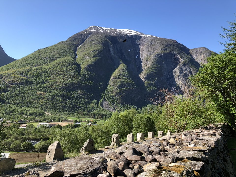 5D0CC830-5B78-468D-BDE2-ED837DAFF67C.jpeg - oslo7876