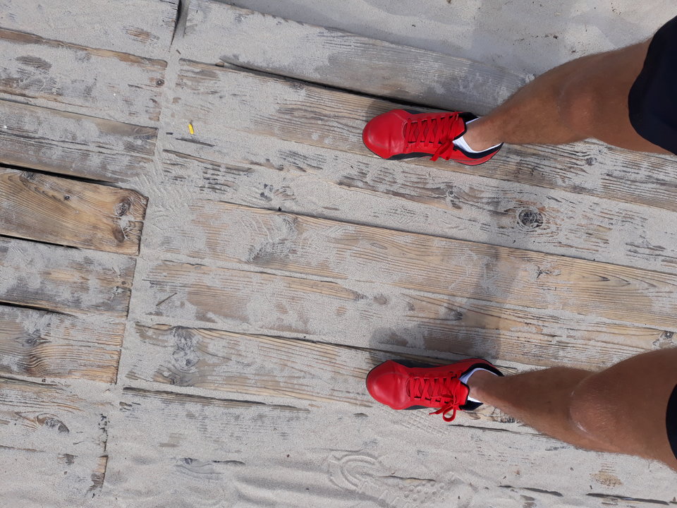 20180619_095355.jpg - mroziaki