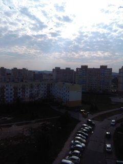 IMG_20180720_074628.jpg