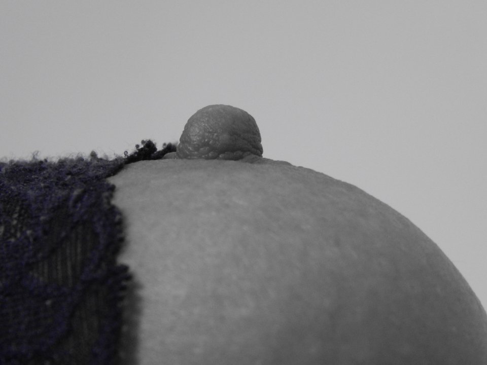 DSCN9915.JPG - betmak