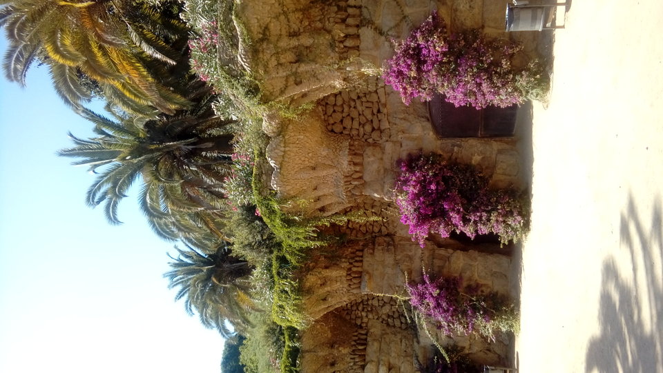 20180719_161421.jpg - Przemodkl79