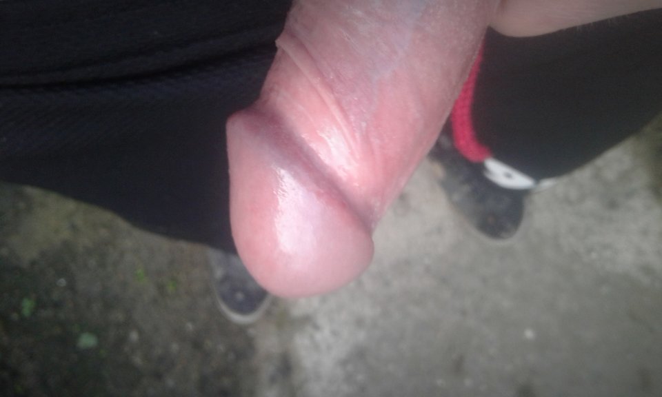 20180721_063016.jpg - gawel2323