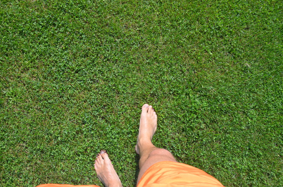 trawa.JPG - Diamond_stud