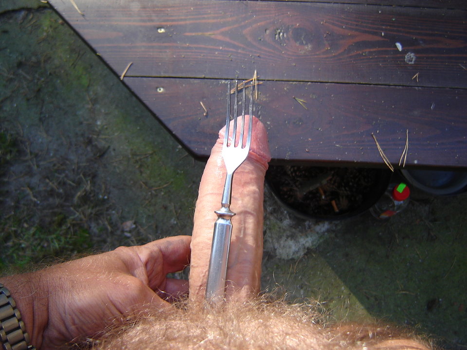 DSC04710.JPG - jamnik7522