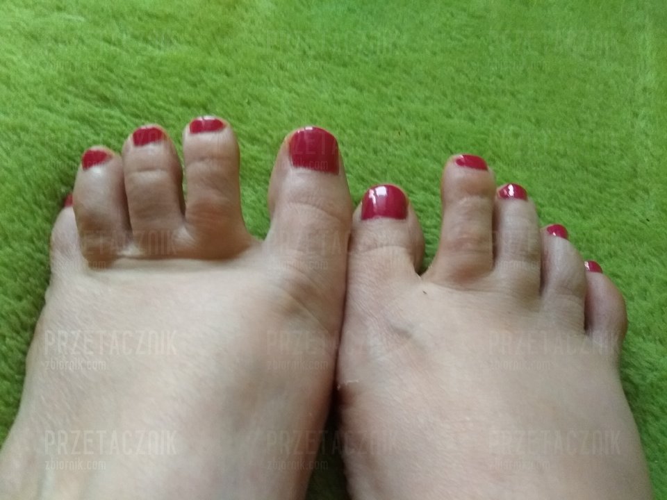 010.jpg - Przetacznik