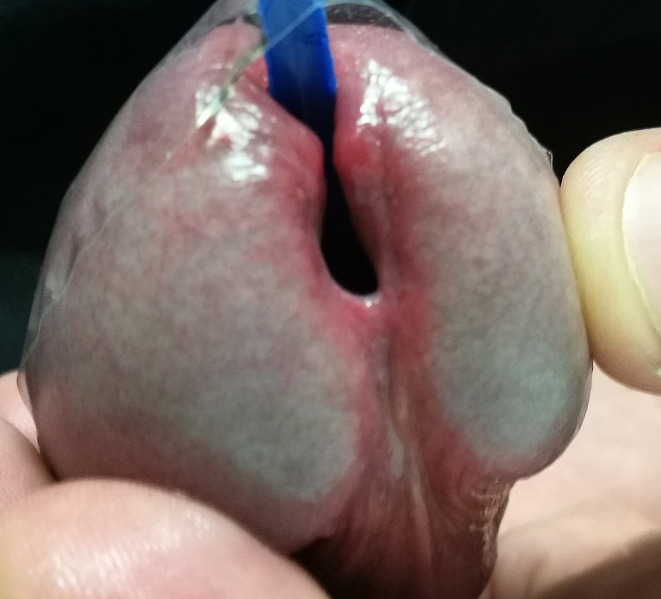 tumblr_ov52ag7C1U1txy8nqo1_1280.jpg - RATCVAC